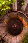 Old Wagon Wheel, Ashcroft, Colorado